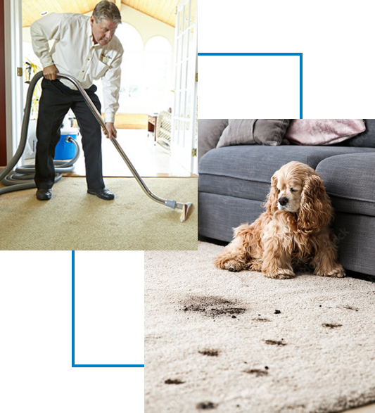 Experts in Carpet and Upholstery Cleaning, Wood Floor Restoration