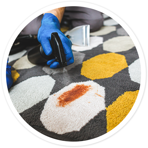 Experts in Carpet and Upholstery Cleaning, Wood Floor Restoration